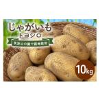 野菜類 じゃがいも トヨシロ 10kg