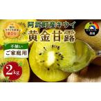 キウイ 黄金甘露 2kg