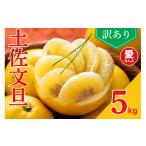 御荘ゴールド 河内晩柑 5kg