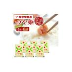 米 つや姫 6回定期便 特別栽培米 5kg×6回