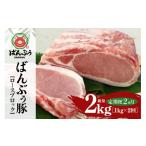 豚肉 ロース 定期便2ヶ月 ブランド豚 ばんぶぅ