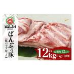豚肉 バラ 定期便12ヶ月 ブランド豚 ばんぶぅ