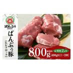 豚肉 ヒレ 定期便2ヶ月 ブランド豚 ばんぶぅ