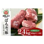 豚肉 ヒレ 定期便6ヶ月 ブランド豚 ばんぶぅ