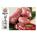 豚肉 ヒレ 定期便12ヶ月 ブランド豚 ばんぶぅ