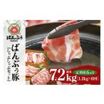 豚肉 しゃぶしゃぶ 定期便6ヶ月 ブランド豚