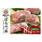 豚肉 ロース 定期便2ヶ月 ブランド豚 ばんぶぅ