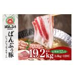 豚肉 しゃぶしゃぶ 定期便12ヶ月 ブランド豚