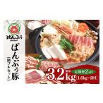 豚肉 バラ 定期便2ヶ月 ブランド豚 ばんぶぅ
