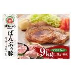 豚肉 ステーキ 定期便6ヶ月 ブランド豚 ばんぶぅ