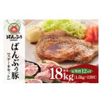 豚肉 ステーキ 定期便12ヶ月 ブランド豚