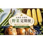 野菜類 アスパラガス 令和9年産 野菜の定期便