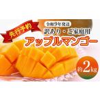 マンゴー 2027年発送 訳あり アップルマンゴー約2kg