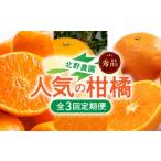 果物類 みかん 北野農園のの柑橘定期便 秀品