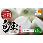野菜類 玉ねぎ 福箱 2027 訳あり 新玉ねぎ