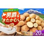 野菜類 じゃがいも 食べ比べセット 男爵 きたかむい 計20kg