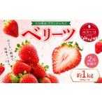 いちご ベリーツ 約250g×4P
