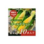 とうもろこし 朝採れ当日発送 大山スイートコーン10本