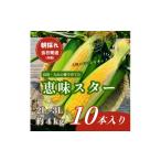とうもろこし 朝採れ当日発送 大山スイートコーン10本
