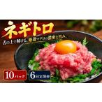 まぐろのネギトロ 10パック