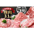 豚肉 セット 産豚バラエティー3.1kgセット_K033-054-10