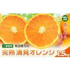 果物類 みかん 清見オレンジ ノーワックス