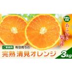 果物類 みかん 清見オレンジ ノーワックス