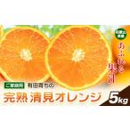 果物類 みかん 清見オレンジ ノーワックス