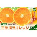 果物類 みかん 清見オレンジ ノーワックス