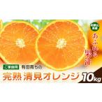 果物類 みかん 清見オレンジ ノーワックス