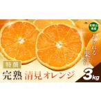 果物類 みかん 特撰 完熟 清見オレンジ 約3kg