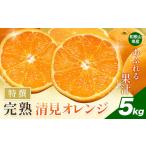 果物類 みかん 特撰 完熟 清見オレンジ 約5kg