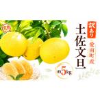 みかん 柑橘類 200箱