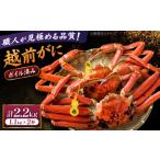 越前がに 1.1kg×2杯