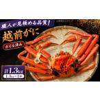 越前がに 1.3kg×1杯