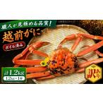 越前がに 1.2kg×1杯
