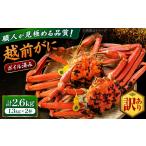 越前がに 1.3kg×2杯