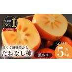 〈訳あり〉たねなし柿 約 5kg
