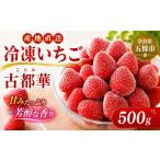 いちご 冷凍いちご 古都華 500g