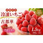 いちご 冷凍いちご 古都華 1.5kg