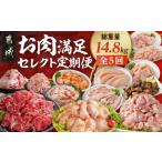 牛肉 セレクト定期便 お肉満足定期便 5ヶ月