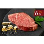 牛肉 ヒレ A5等級 飛騨牛 シャトーブリアンステーキ 6枚
