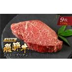 牛肉 ヒレ A5等級 飛騨牛 シャトーブリアンステーキ 9枚