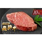 牛肉 ヒレ A5等級 飛騨牛 シャトーブリアンステーキ 10枚