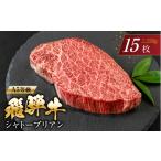 牛肉 ヒレ A5等級 飛騨牛 シャトーブリアンステーキ 15枚