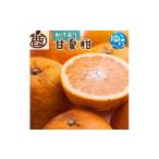 鹿蔵 プレミアム 有田みかん ゆら早生 10kg+250g
