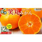 訳あり ワケアリ 果物 くだものフルーツ ミカン