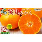 訳あり ワケアリ 果物 くだものフルーツ ミカン