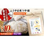 米 つや姫 新米 定期便 10kg
