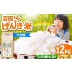 米 つや姫 令和8年産 新米 2kg×3回